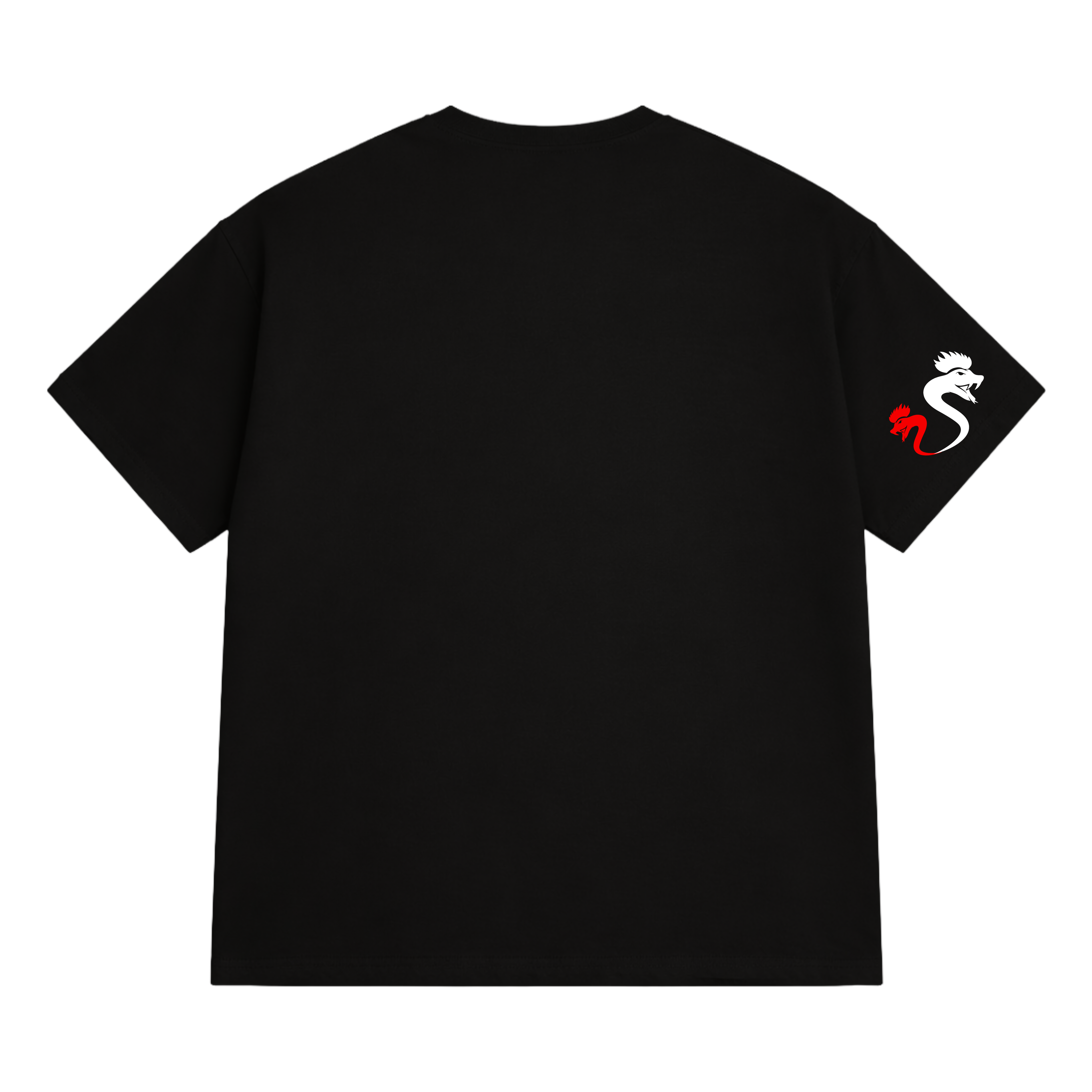 CHICOBRA FIT OVERSIZED T-SHIRT